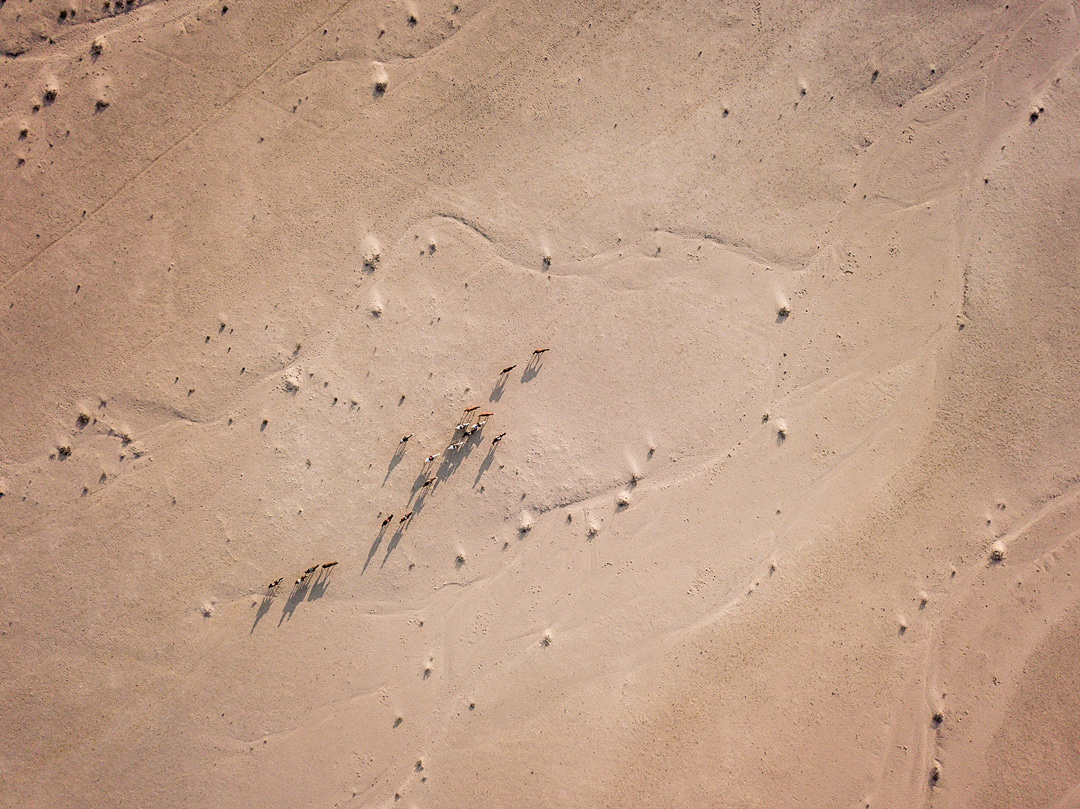 Namibia Desert Crossing
