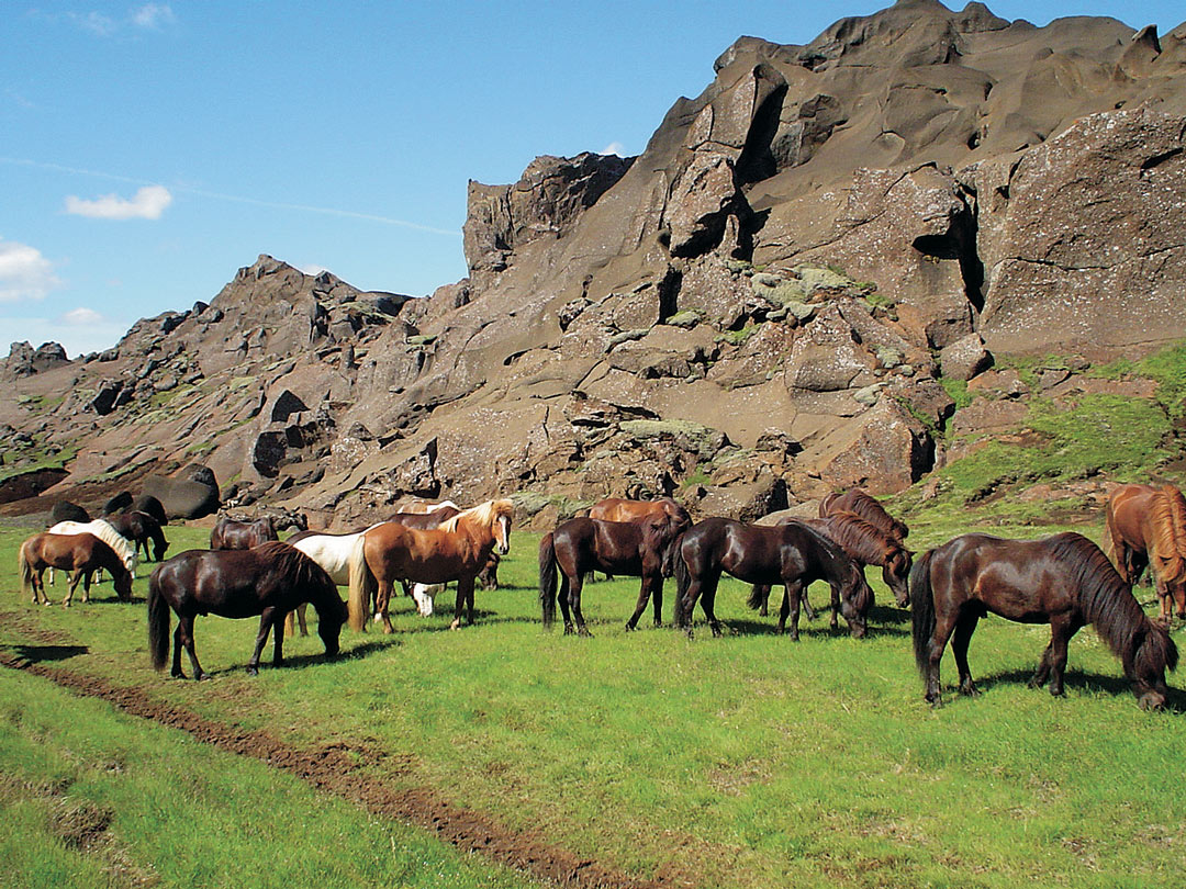 Volcanoes Trail - Horse Riding Holidays Iceland