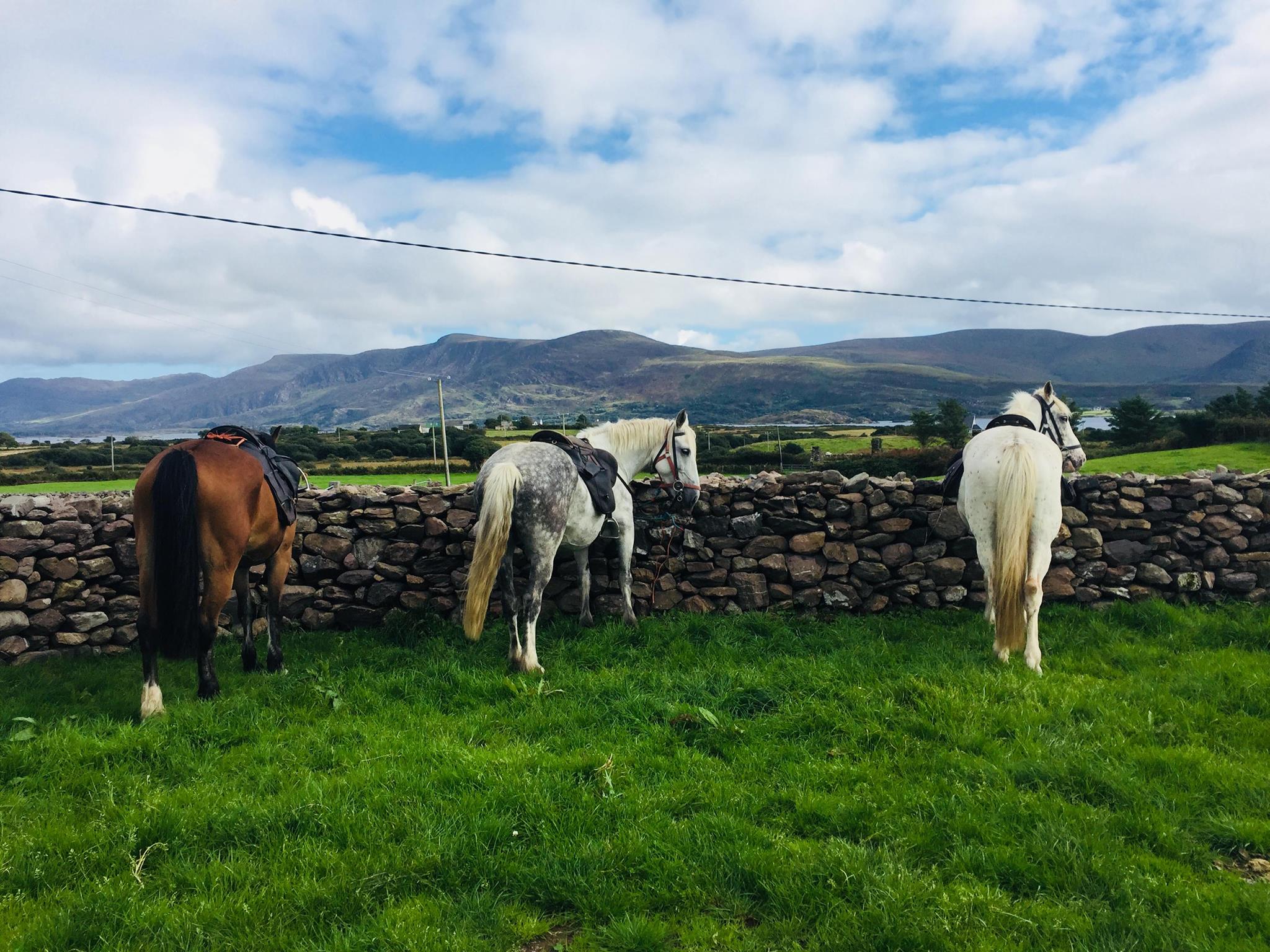 Ring of Kerry Trail - Horse Riding Holiday in Ireland