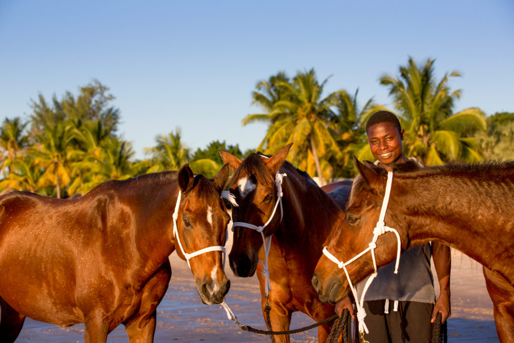 Horse Riding Holiday Mozambique