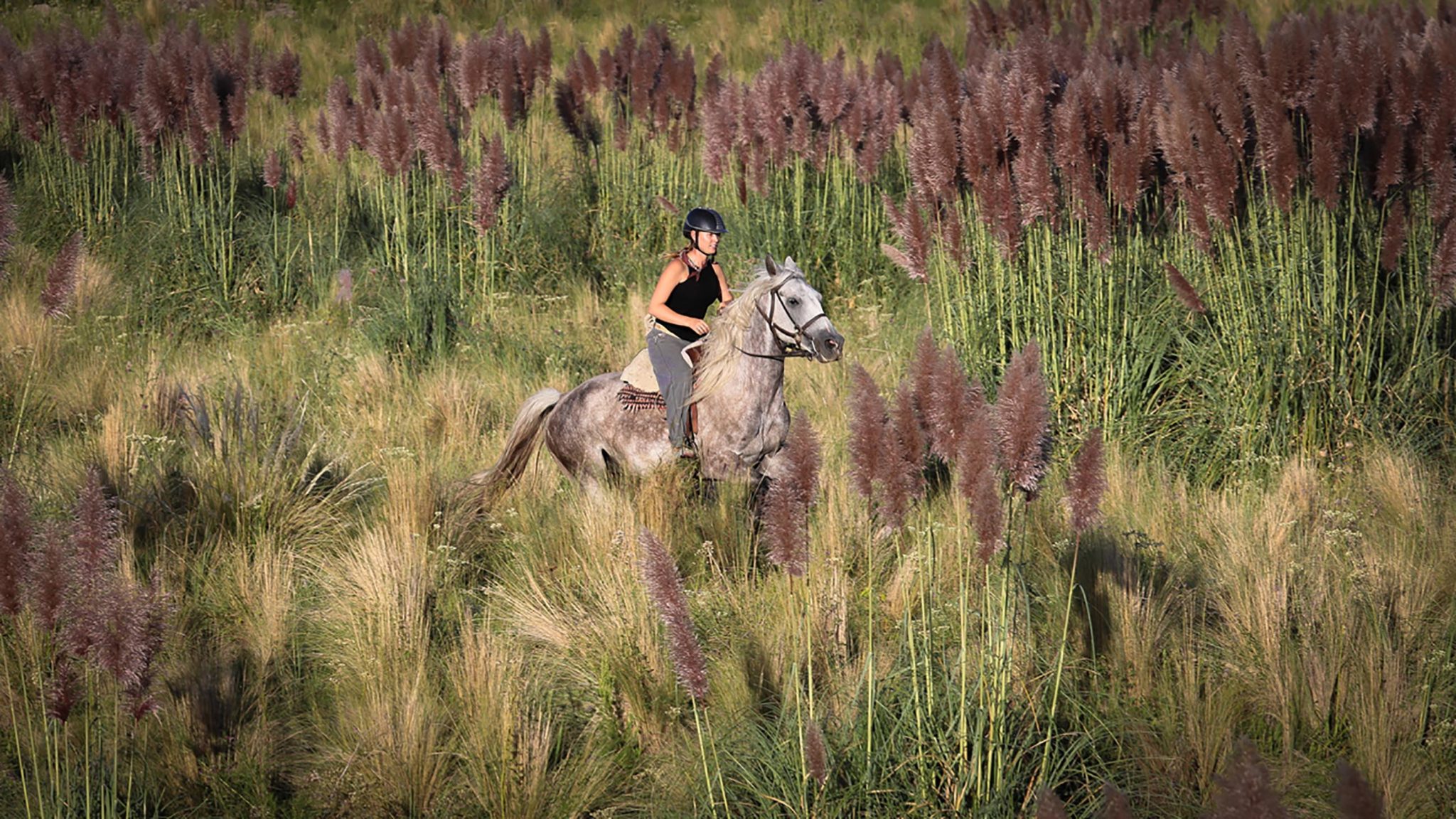 Horse Riding Holidays in Argentina