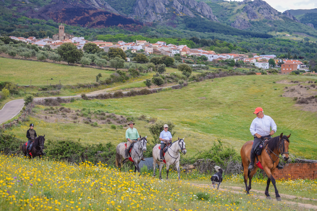 Horse Riding Holidays in Spain