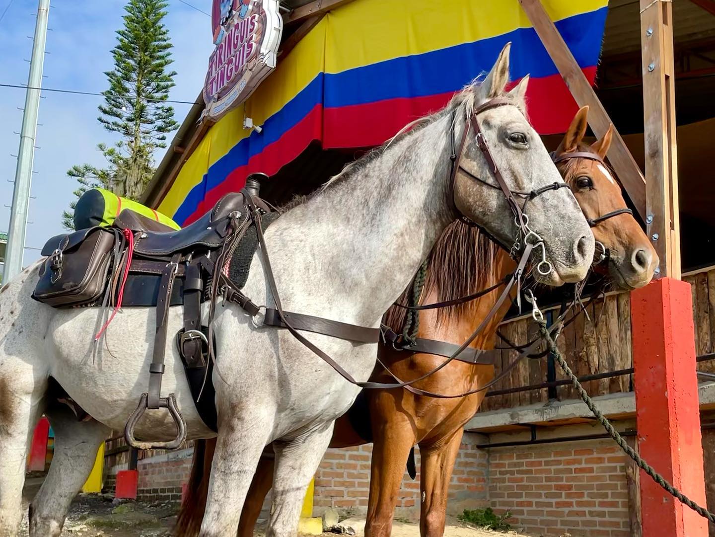 Horse riding holidays in Colombia