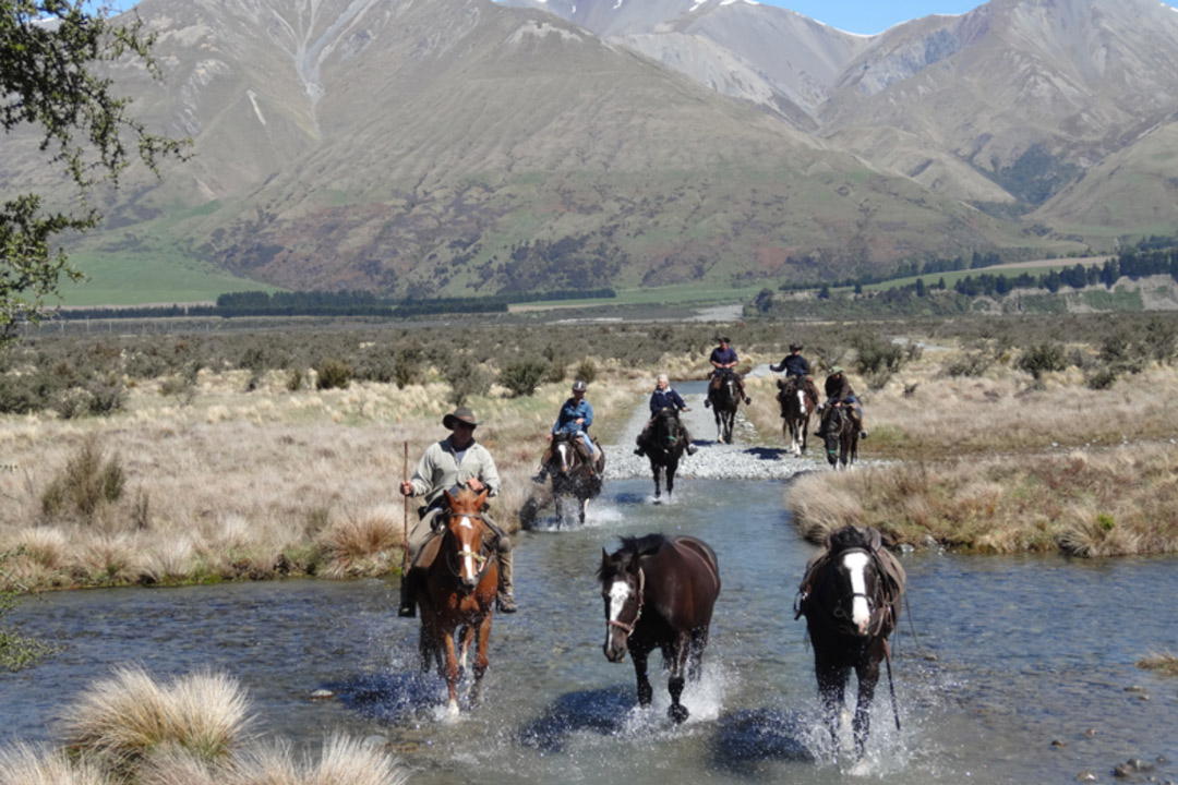 New Zealand Pack Trip Long Horse Riding Holiday
