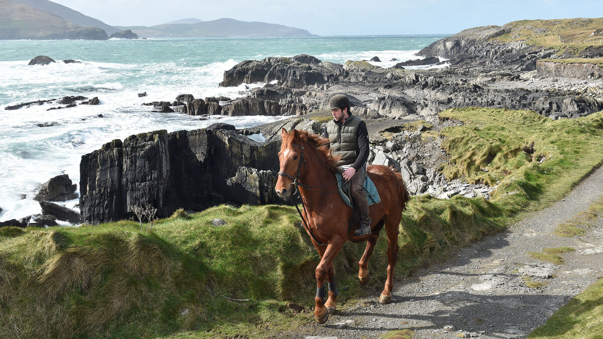 Farming 
Blayne Sheehan near the beach at Allihies on the Beara peninsula heading out for a trek with Charlie on the Beara Bridle Way.  Picture Dan Linehan